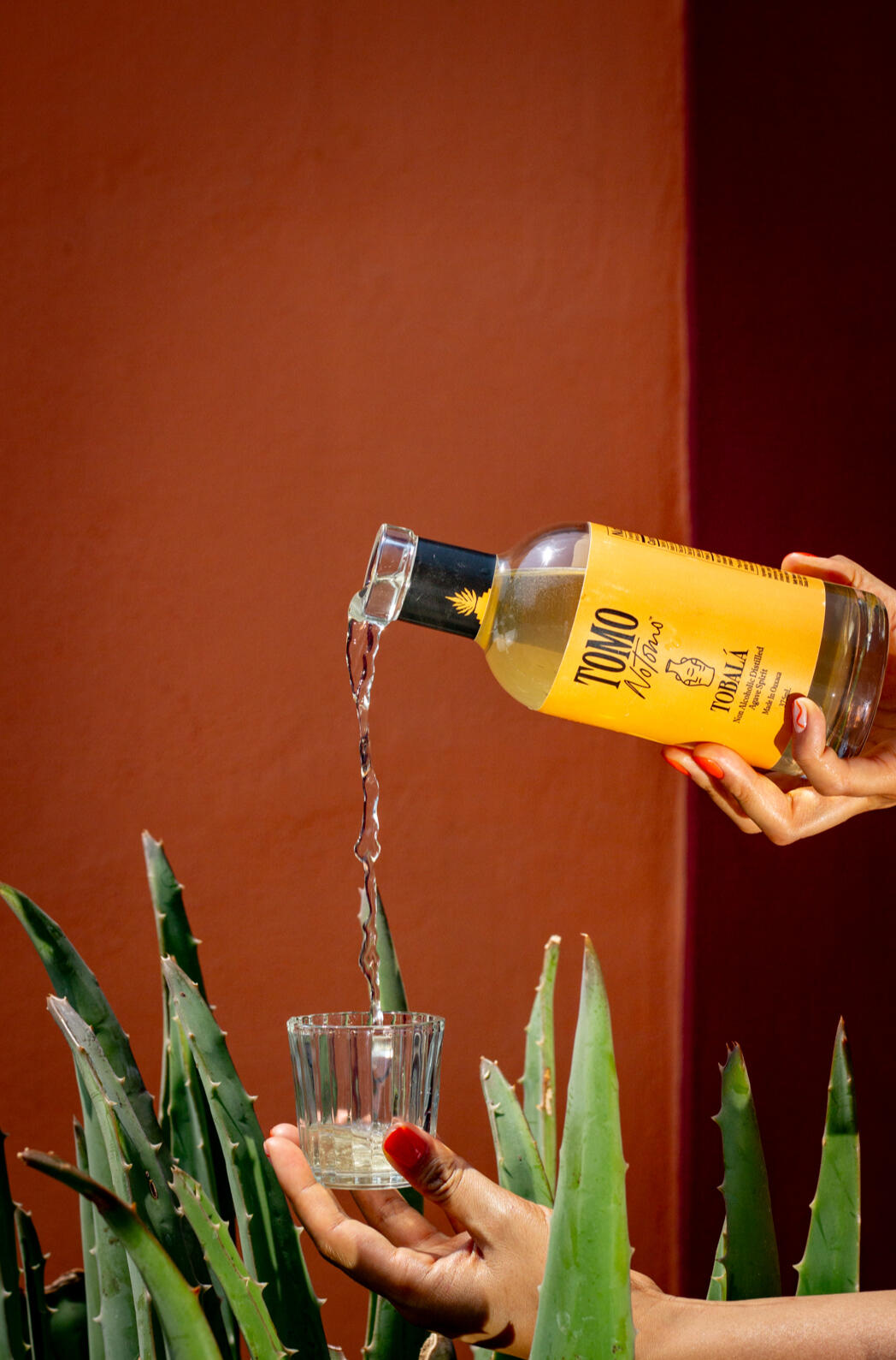 Tomonotomo non-alcoholic agave spirit pouring in Oaxaca